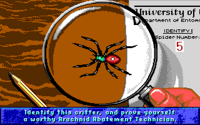 小魔星／蜘蛛恐惧症